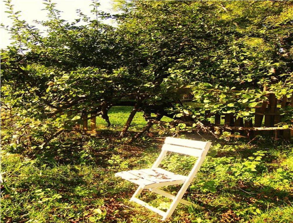 Le Moulin Fleuri Du Petit Appeville Zewnętrze zdjęcie