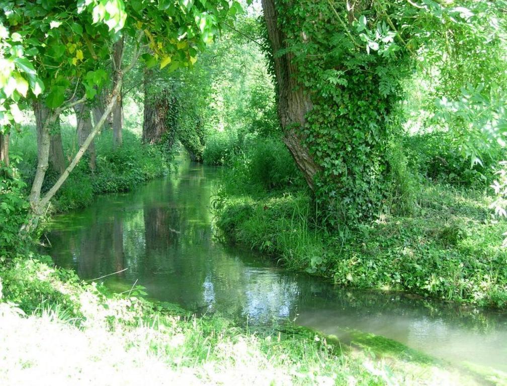 Le Moulin Fleuri Du Petit Appeville Zewnętrze zdjęcie