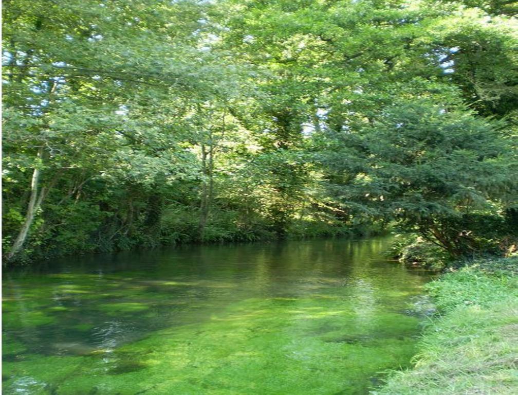 Le Moulin Fleuri Du Petit Appeville Zewnętrze zdjęcie