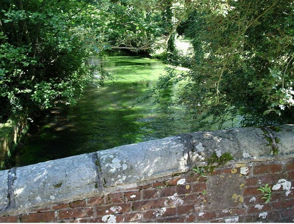 Le Moulin Fleuri Du Petit Appeville Zewnętrze zdjęcie